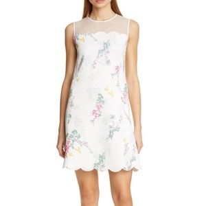🌸NWT🌸Ted Baker London-Cainey Sorbet Shift Dress